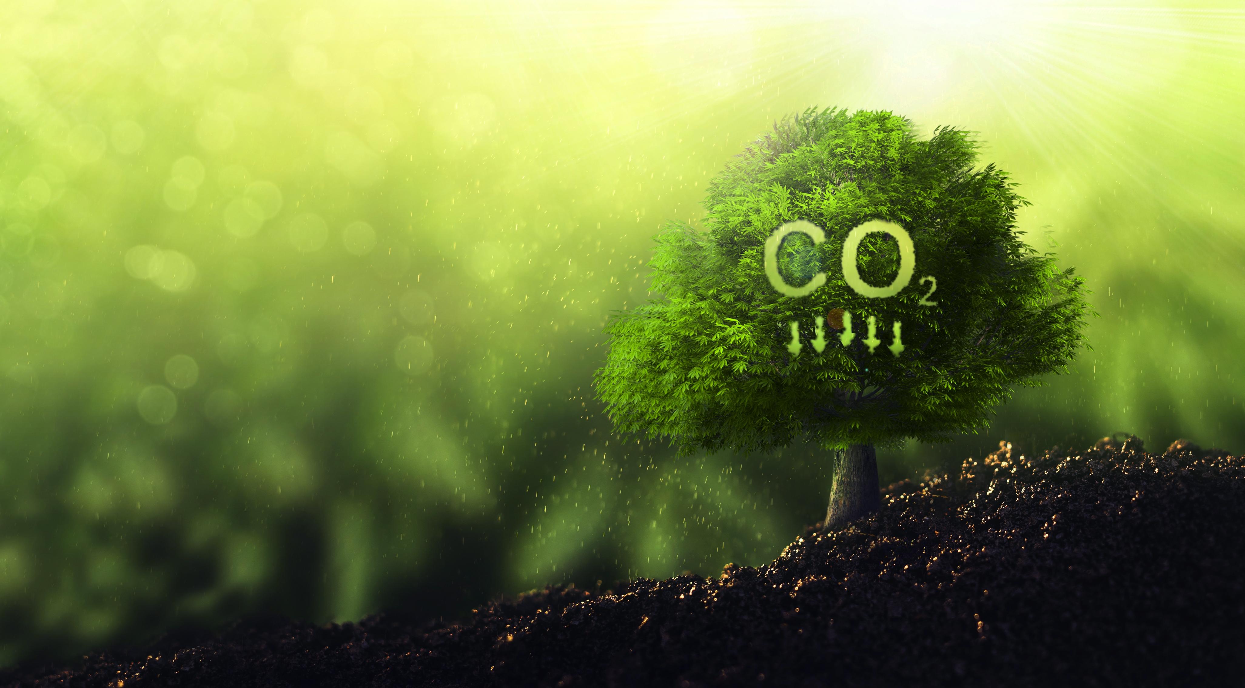 Co2